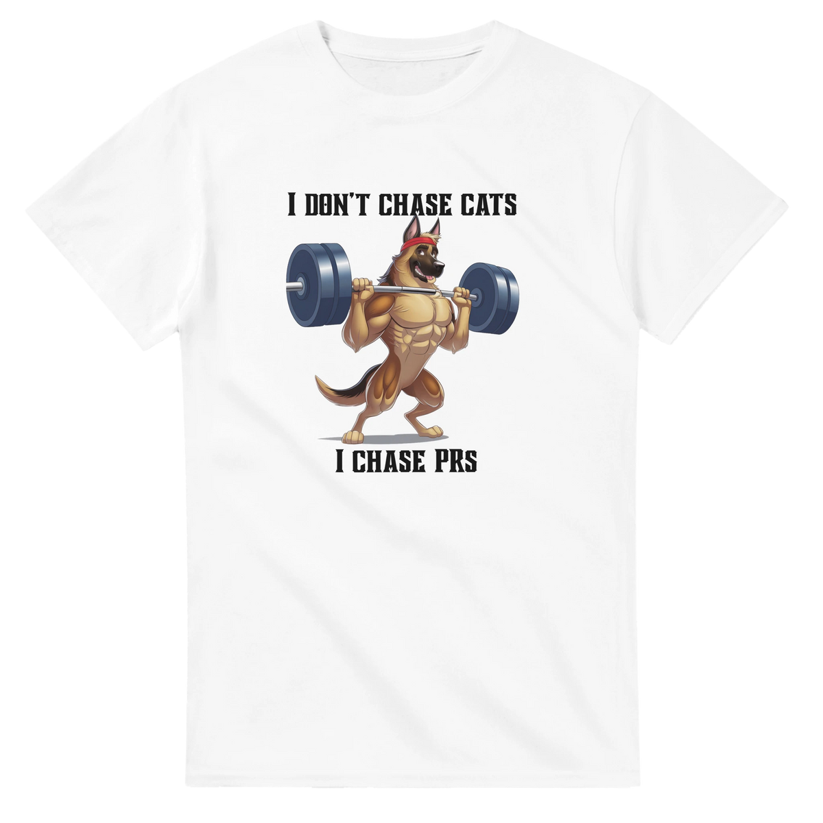 47d77351-5aeb-42a0-b450-a430b7c8dc72